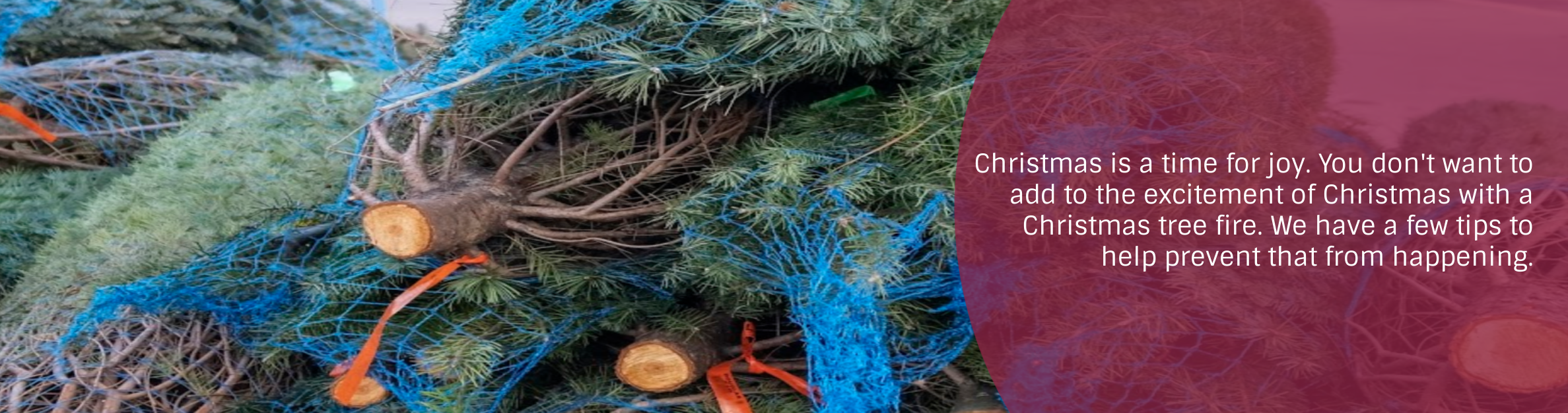 Christmas is a time for joy. You don't want to add to the excitement of Christmas with a Christmas tree fire. We have a few tips to help prevent that from happening.
