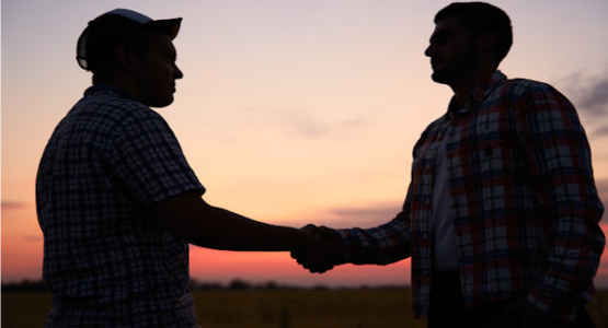 Two men shaking hands in a field at sunset