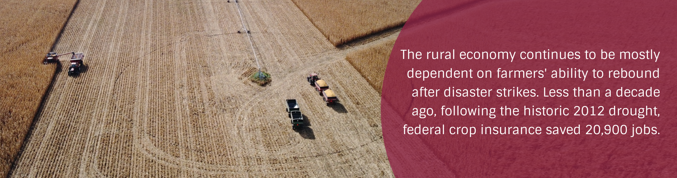 Photo: Harvest
Text: The rural economy continues to be mostly dependent on farmers' ability to rebound after disaster strikes. Less than a decade ago, following the historic 2012 drought, federal crop insurance saved 20,900 jobs.