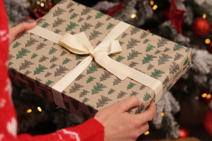 hands holding a Christmas present