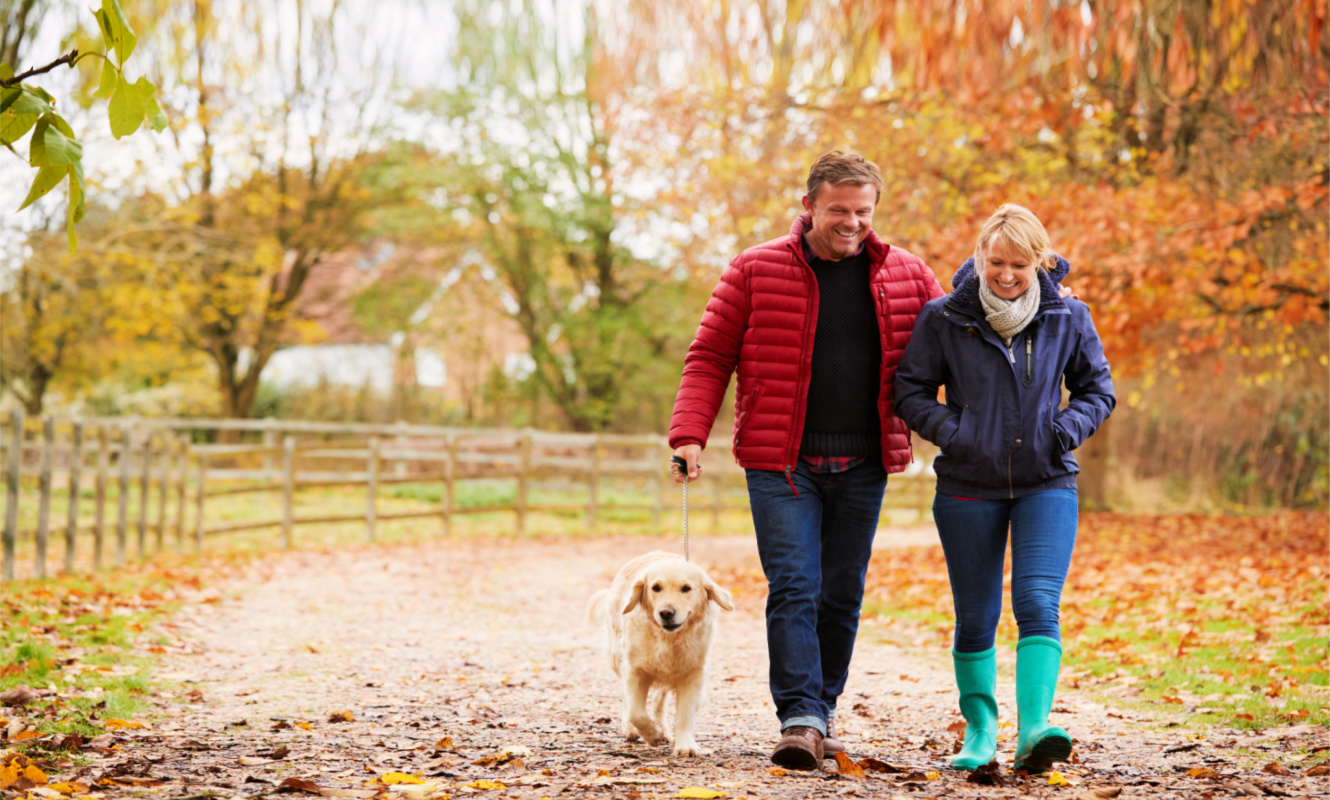 Man, woman, and dog on a walk in the fall