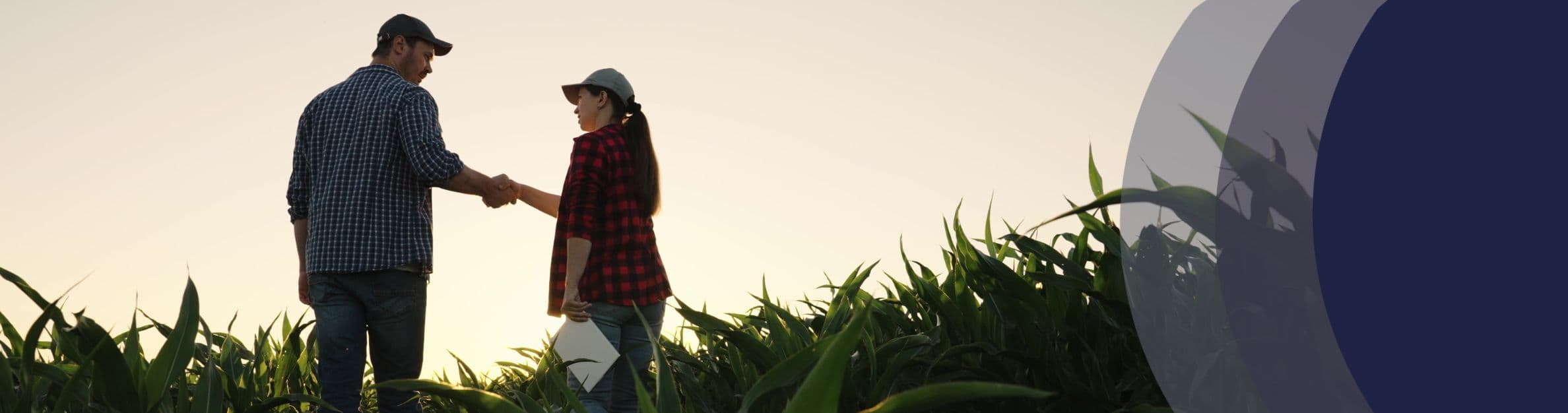 man and woman shaking hands in a field