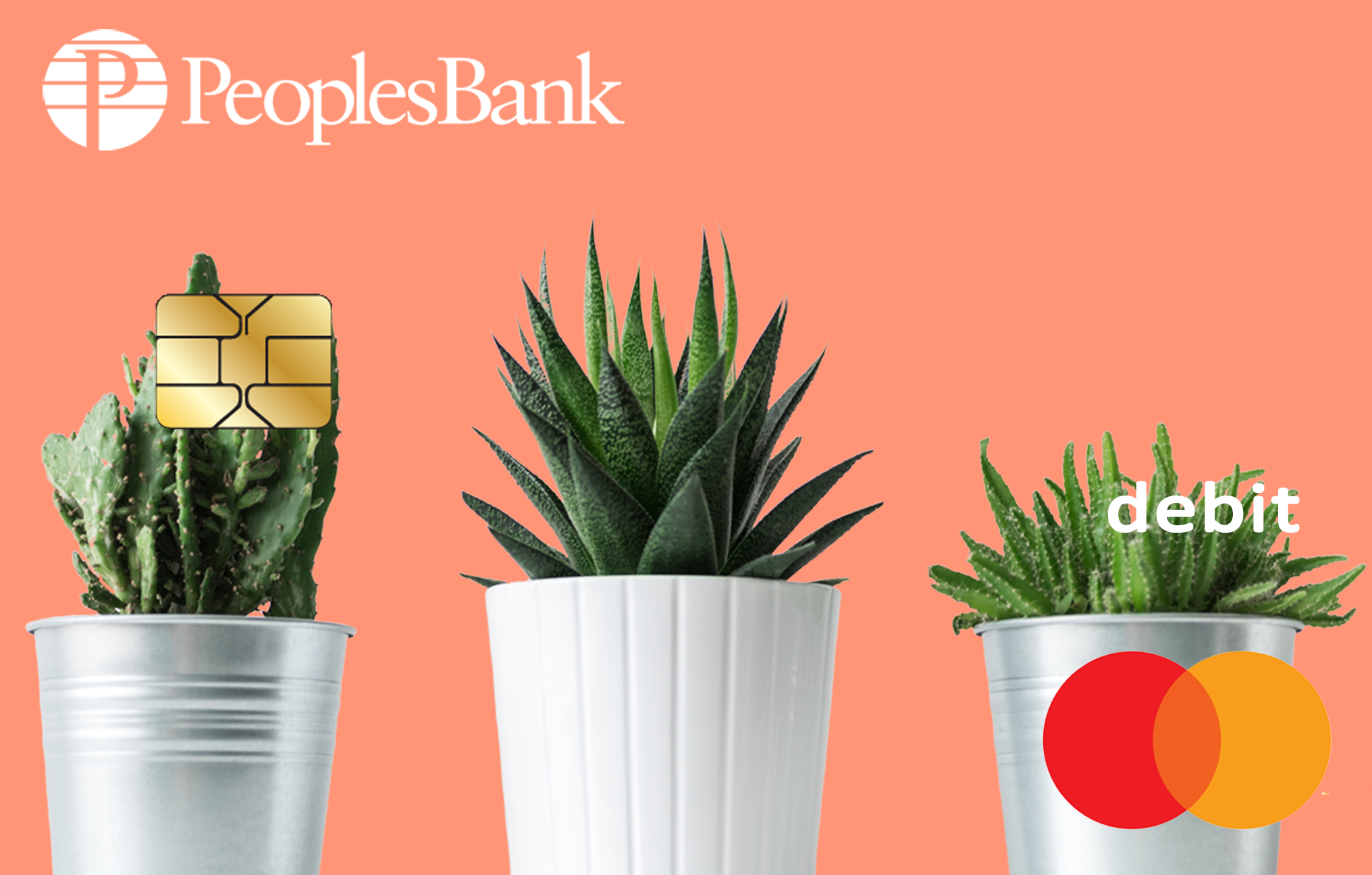 Succulent debit card